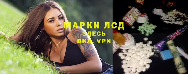 ешки Белокуриха