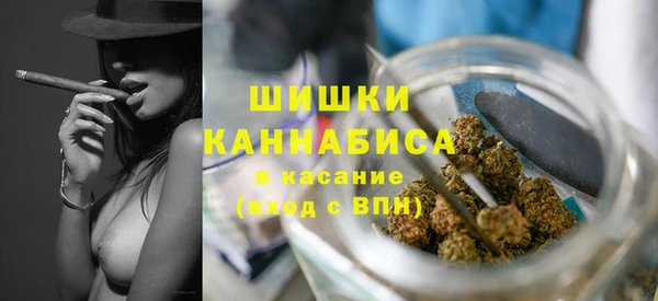ешки Белокуриха