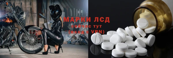 ешки Белокуриха