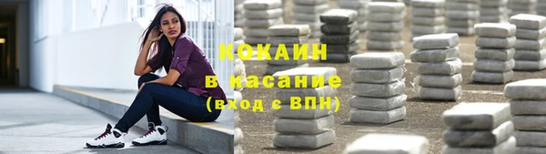 ешки Белокуриха