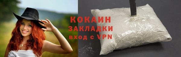 ешки Белокуриха