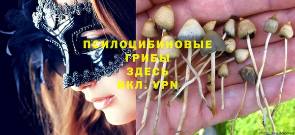 дживик Беломорск
