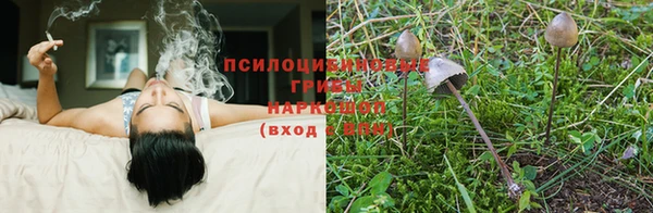 дживик Беломорск