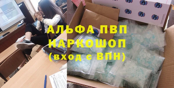ешки Белокуриха