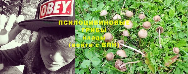 дживик Беломорск